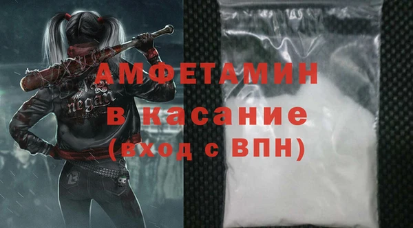 мдпв Верея