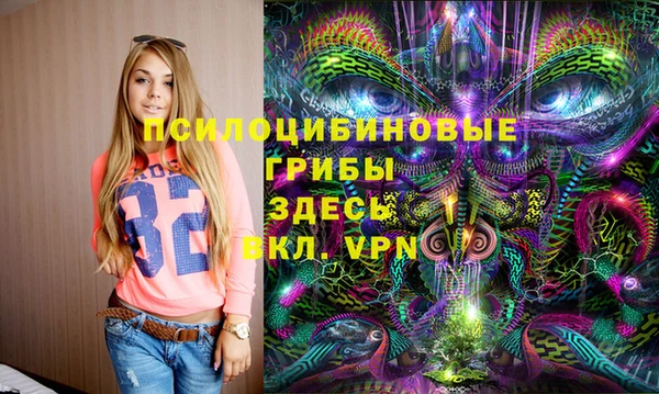 мдпв Верея