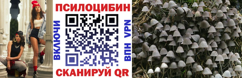 hydra сайт  Жиздра  Псилоцибиновые грибы Psilocybe 
